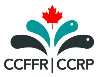 CCFFR login for Abstract System